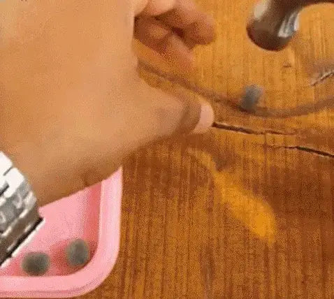 Bonsai lotus flower seeds