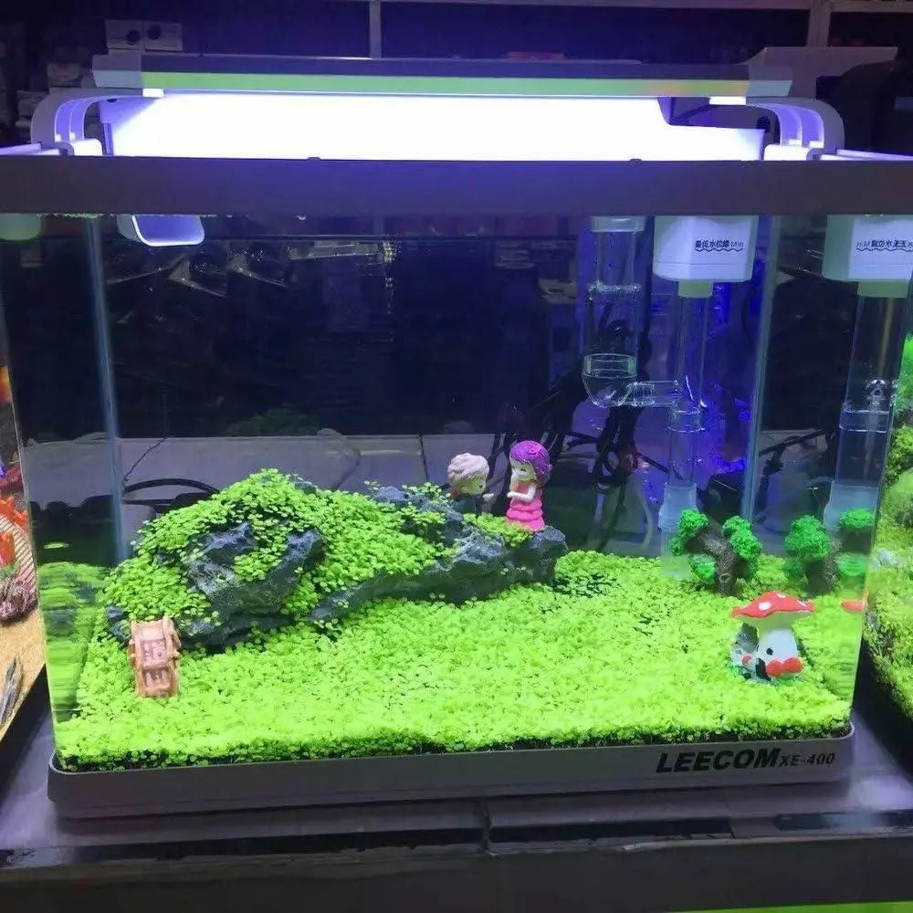 Double leaf aquarium plant seeds