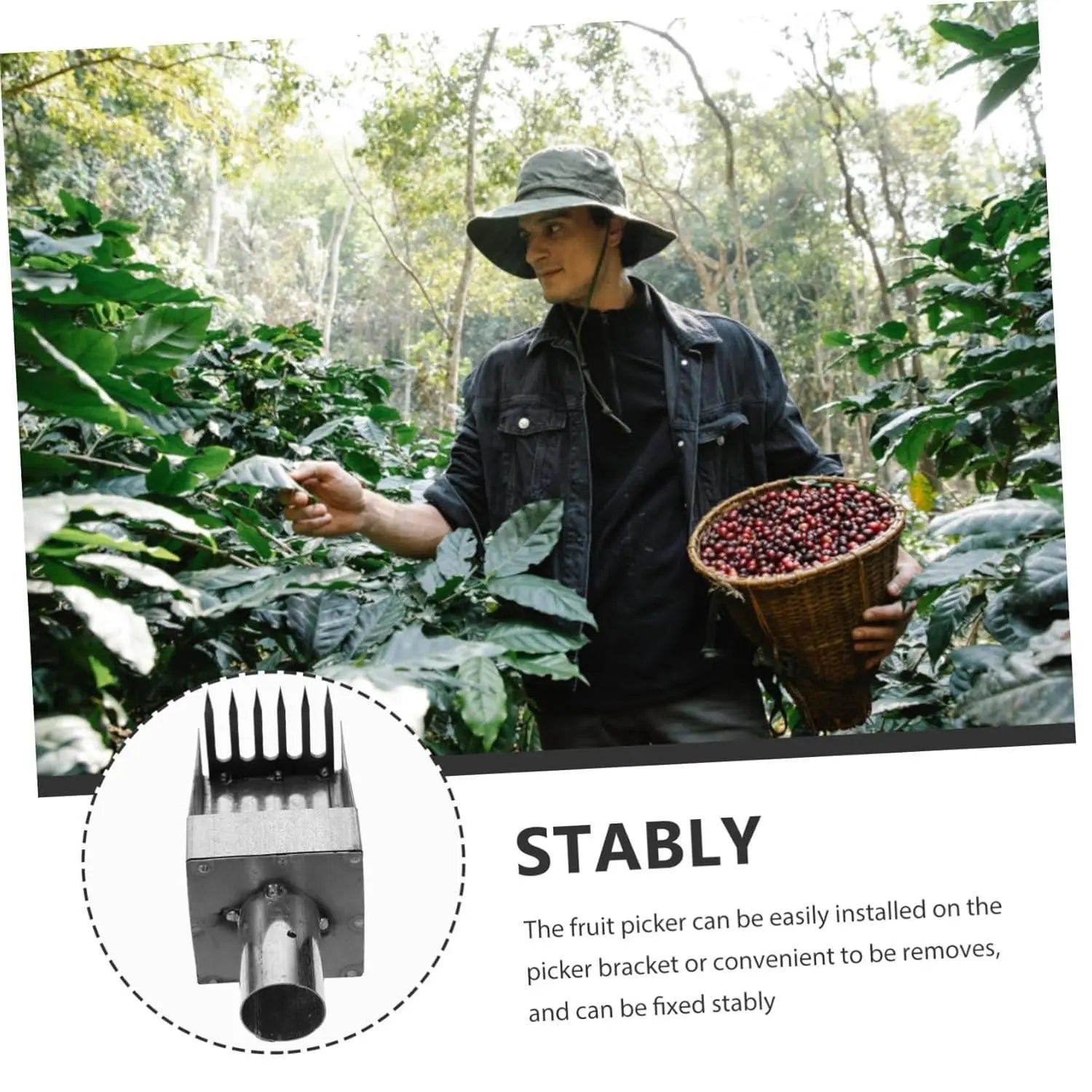 Stainless steel fruit picker