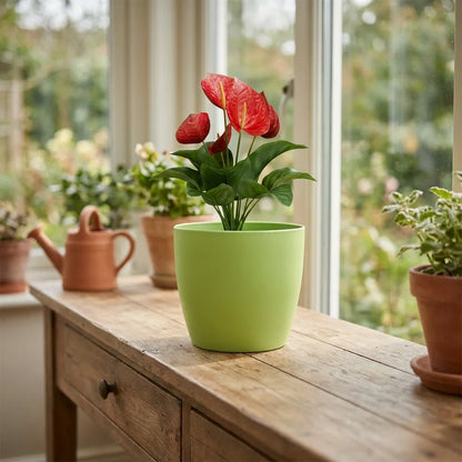Colorful Round Flower Pots
