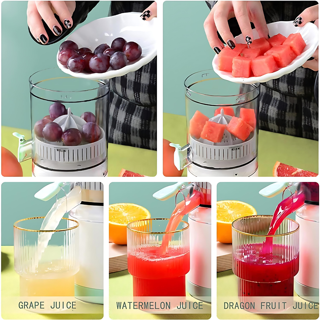 Electric Fruit Juice Blender