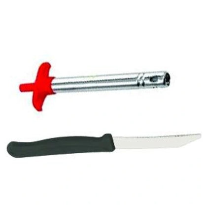 2-in-1 Gas Lighter & Knife
