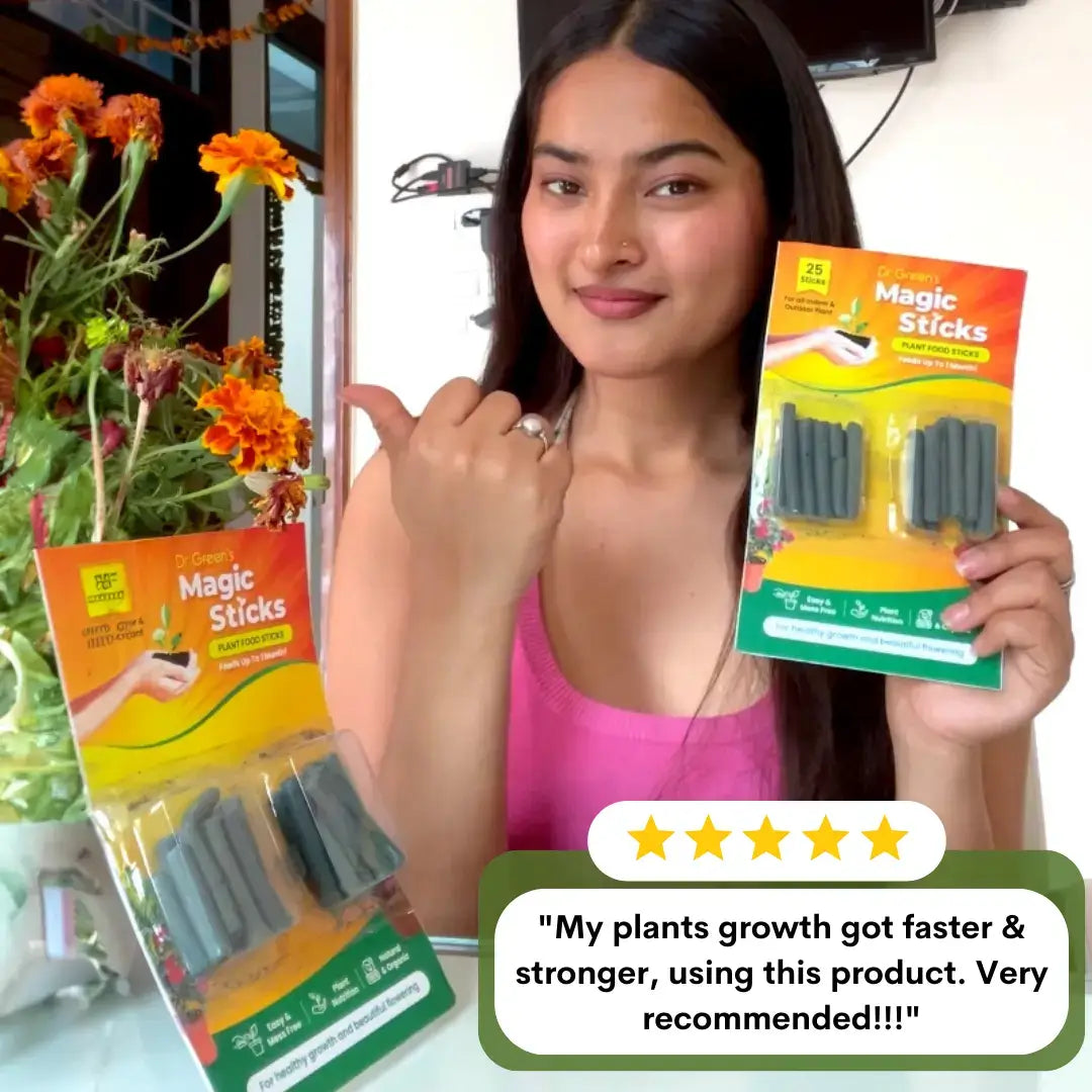 Plant grow fertilizer sticks (pack of 2)