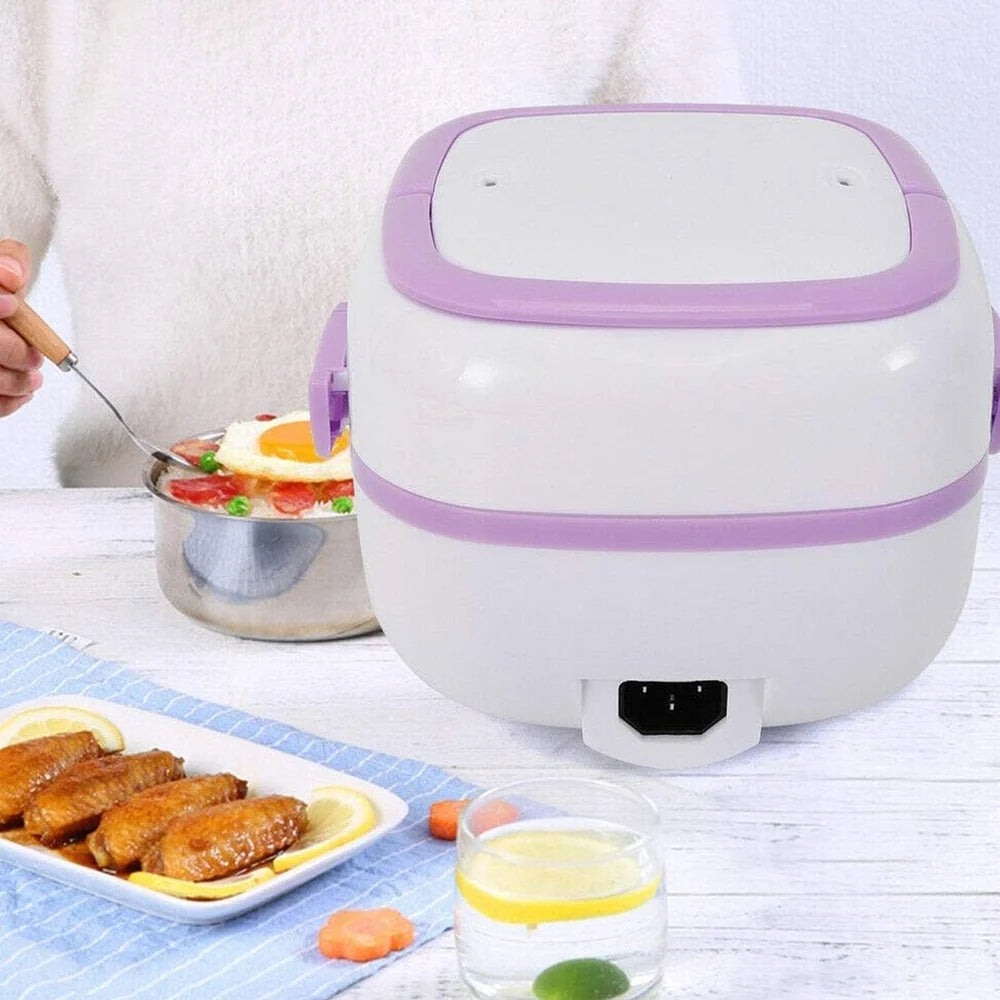 Portable electric lunch box