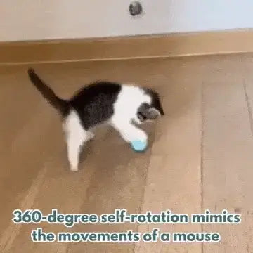Smart led cat toy ball