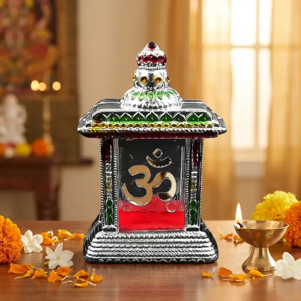 Adhesive car dashboard temple - home improvement