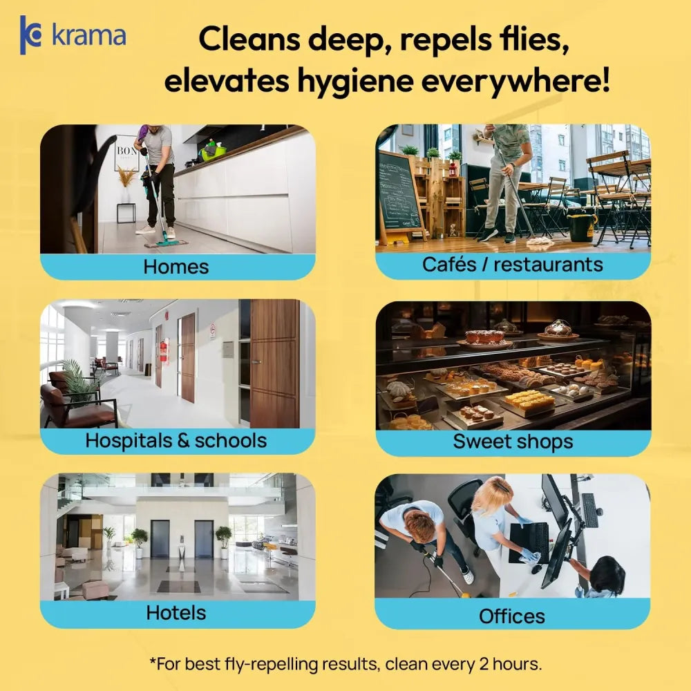 Anti-fly & mosquito floor cleaner – 200ml (pack of 2)