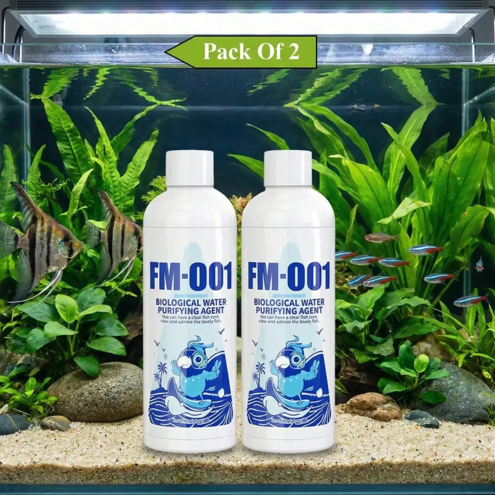 Aquarium algae remover - home essentials