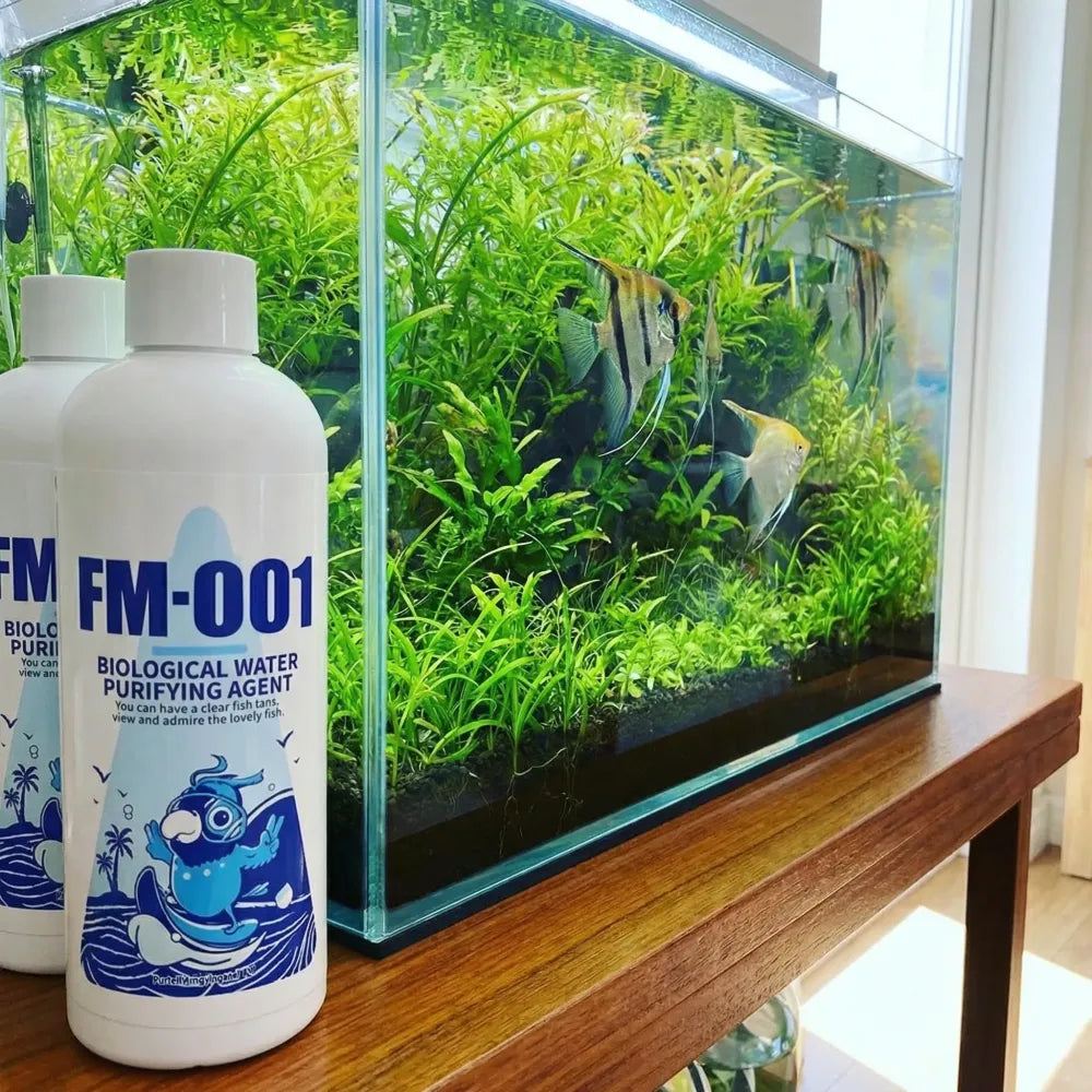 Aquarium algae remover - home essentials