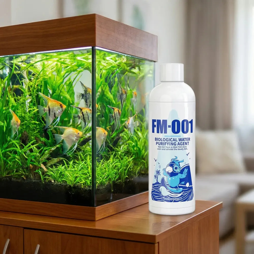 Aquarium algae remover - home essentials