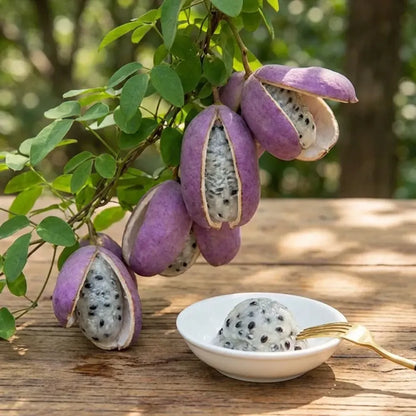 August melon seeds - home essentials