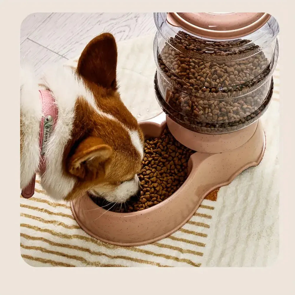 Automatic pet water dispenser - home improvement