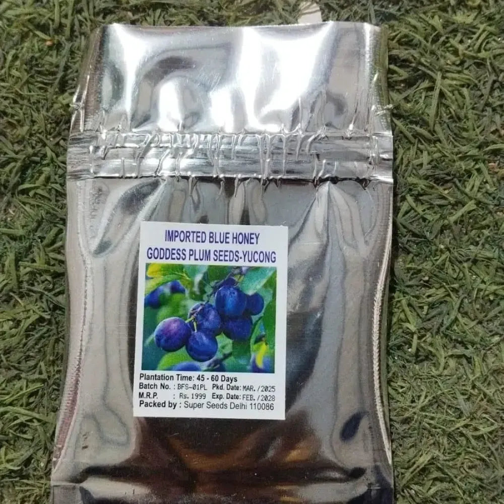 Blue honey plum seeds