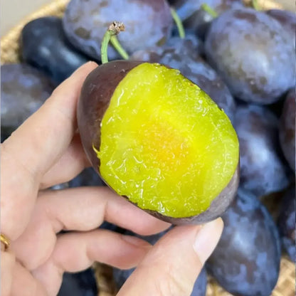 Blue honey plum seeds