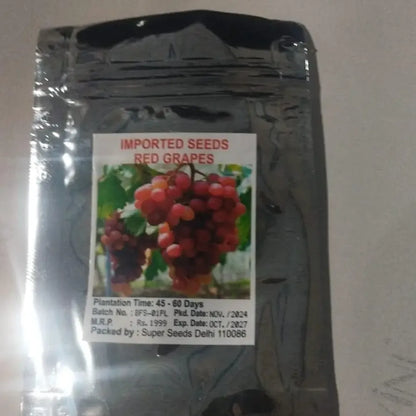 Buddha lantern fruit seeds - gardening