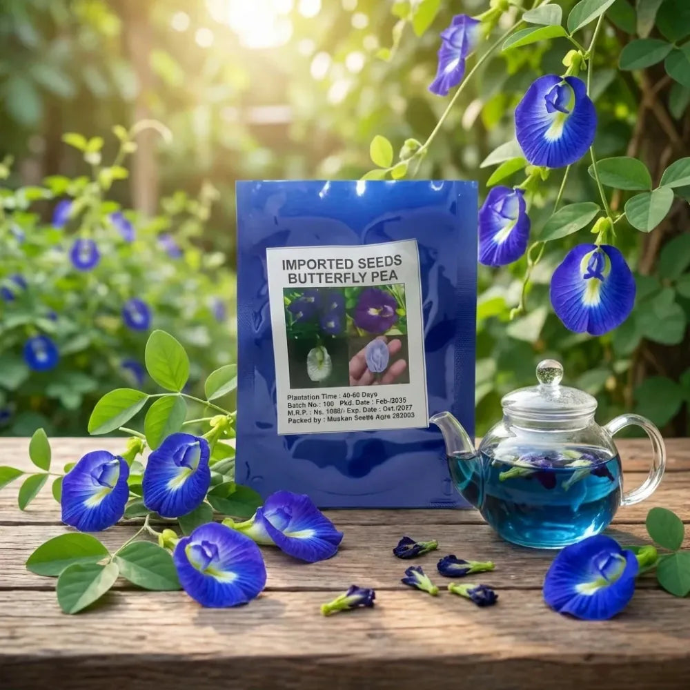 Butterfly pea flower seeds