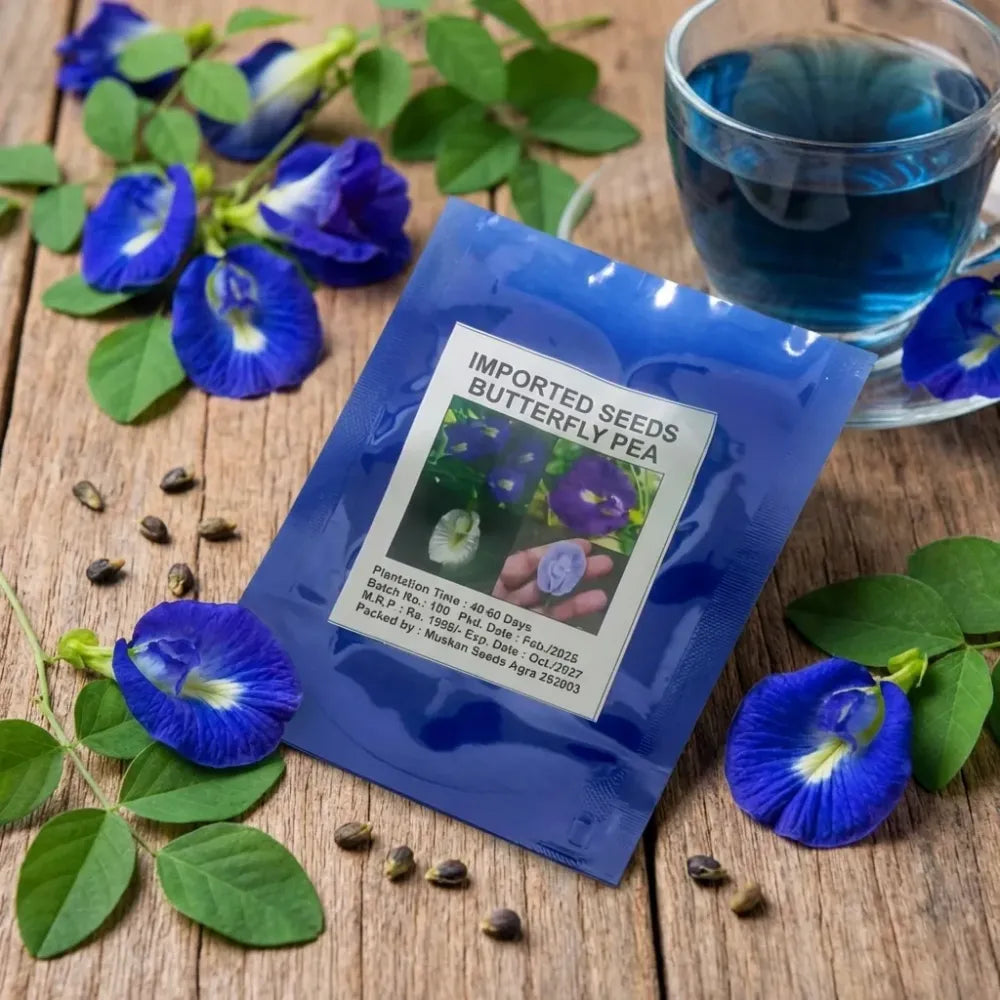 Butterfly pea flower seeds