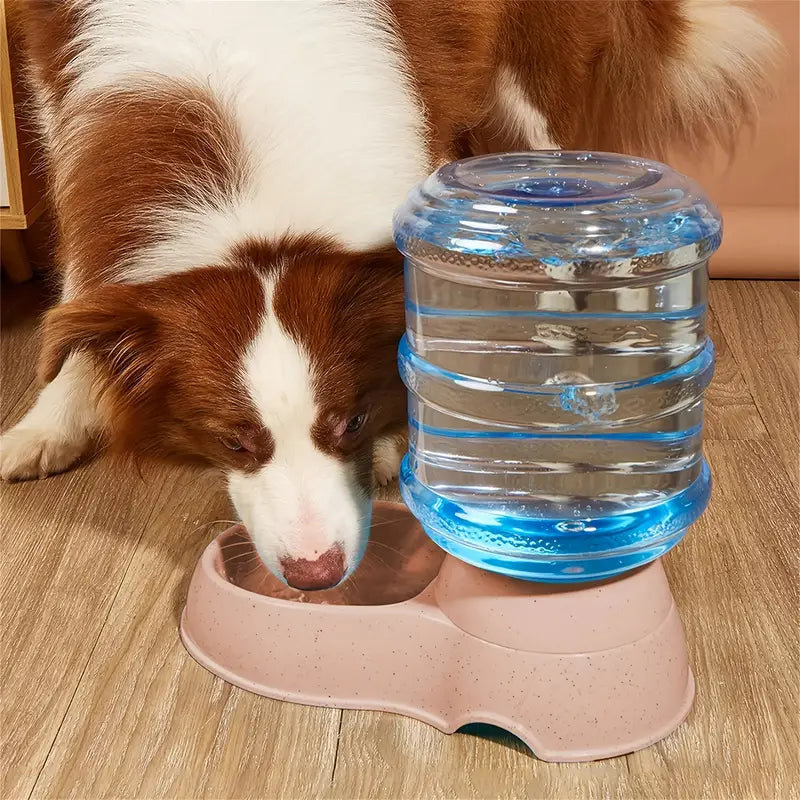 Automatic pet water dispenser