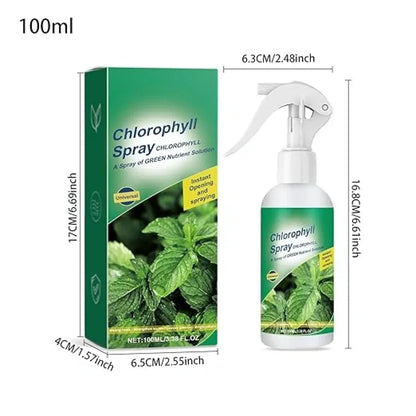 Chlorophyll spray – pack of 2