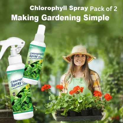 Chlorophyll spray – pack of 2