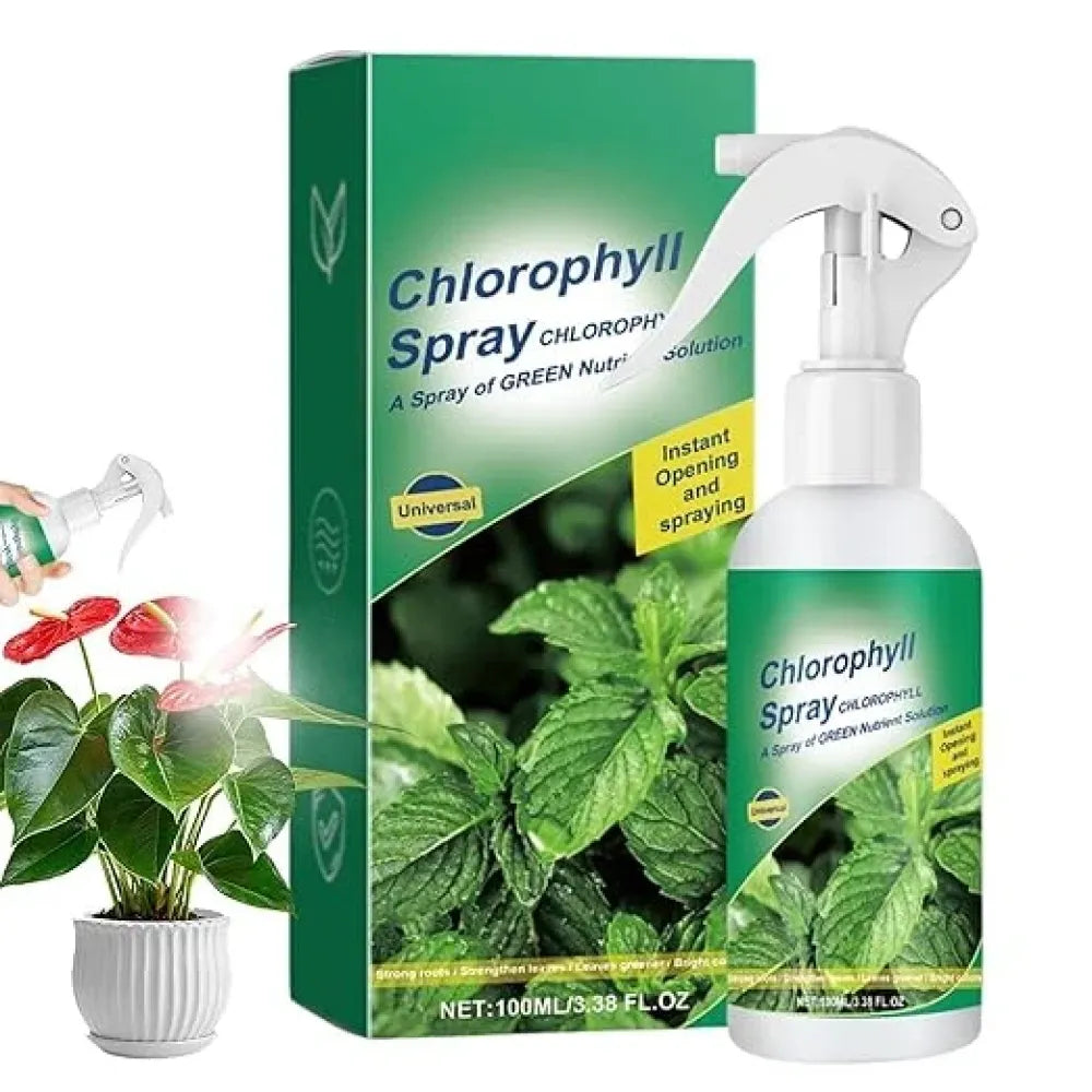 Chlorophyll spray – pack of 2