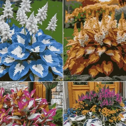 Cold-hardy hosta seeds - gardening