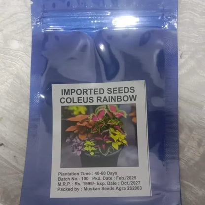 Coleus rainbow plant seeds