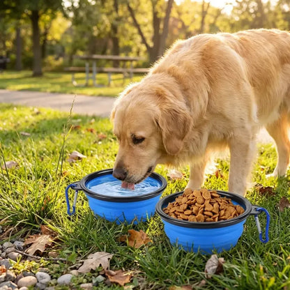 Collapsible silicone pet bowl - potential heroes