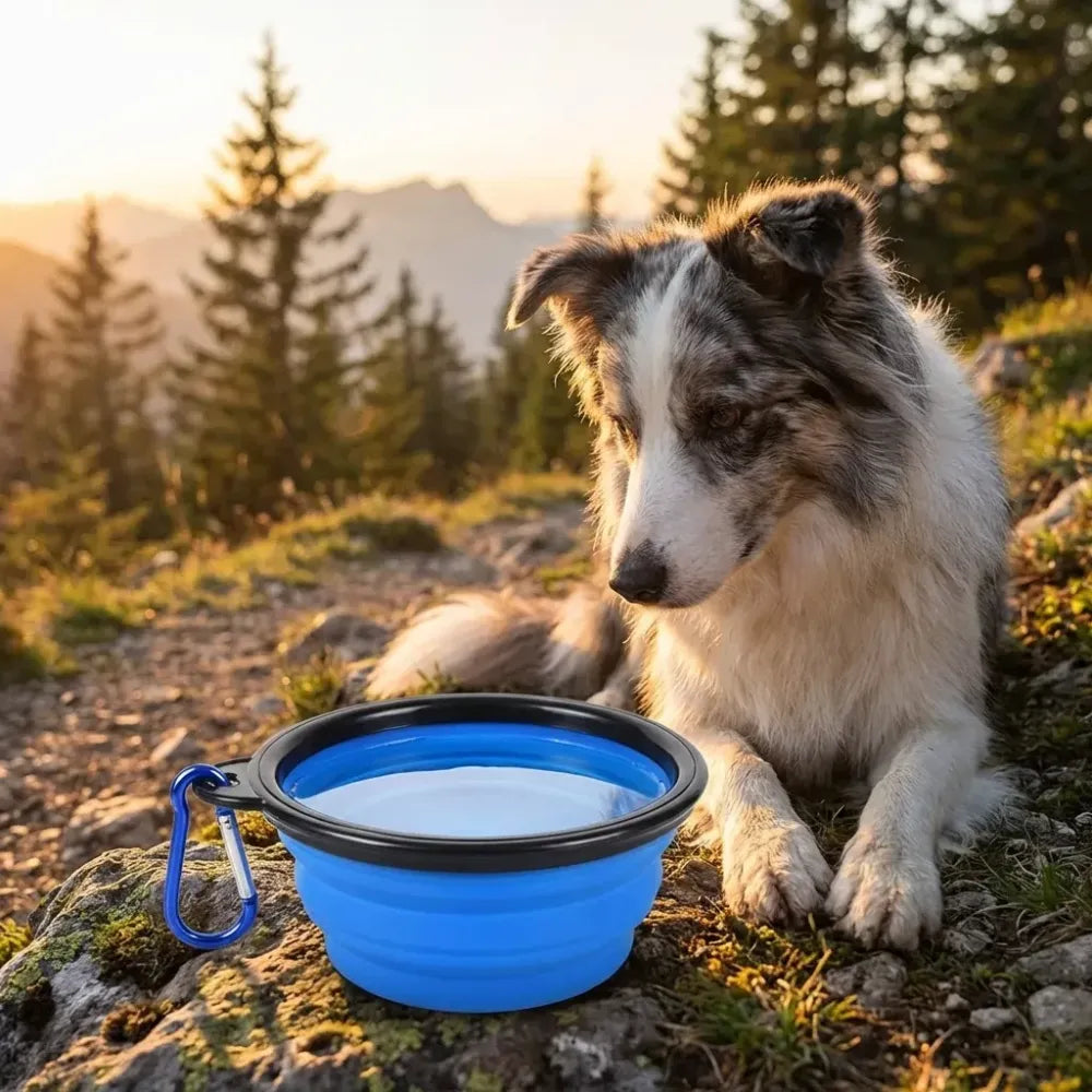 Collapsible silicone pet bowl - potential heroes