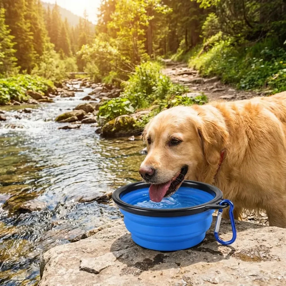 Collapsible silicone pet bowl - potential heroes