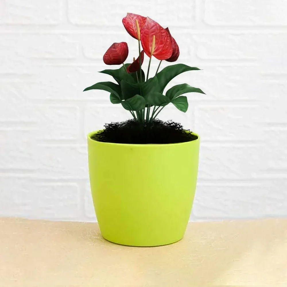 Colorful round flower pots - garden