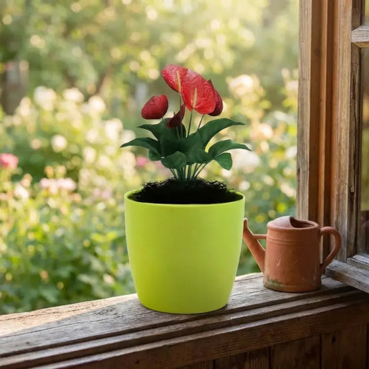 Colorful round flower pots - garden