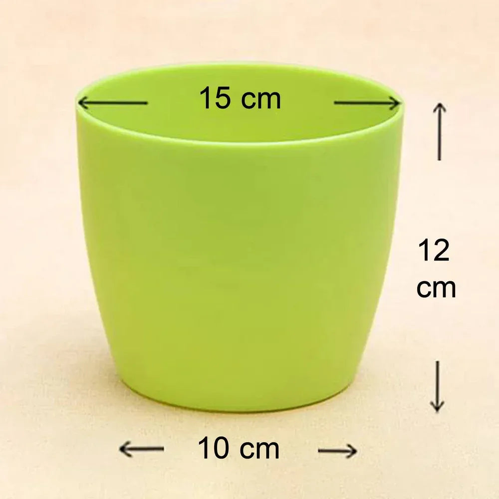 Colorful round flower pots - garden