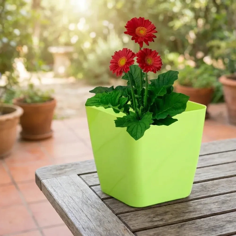 Colorful square & round flower pots - garden
