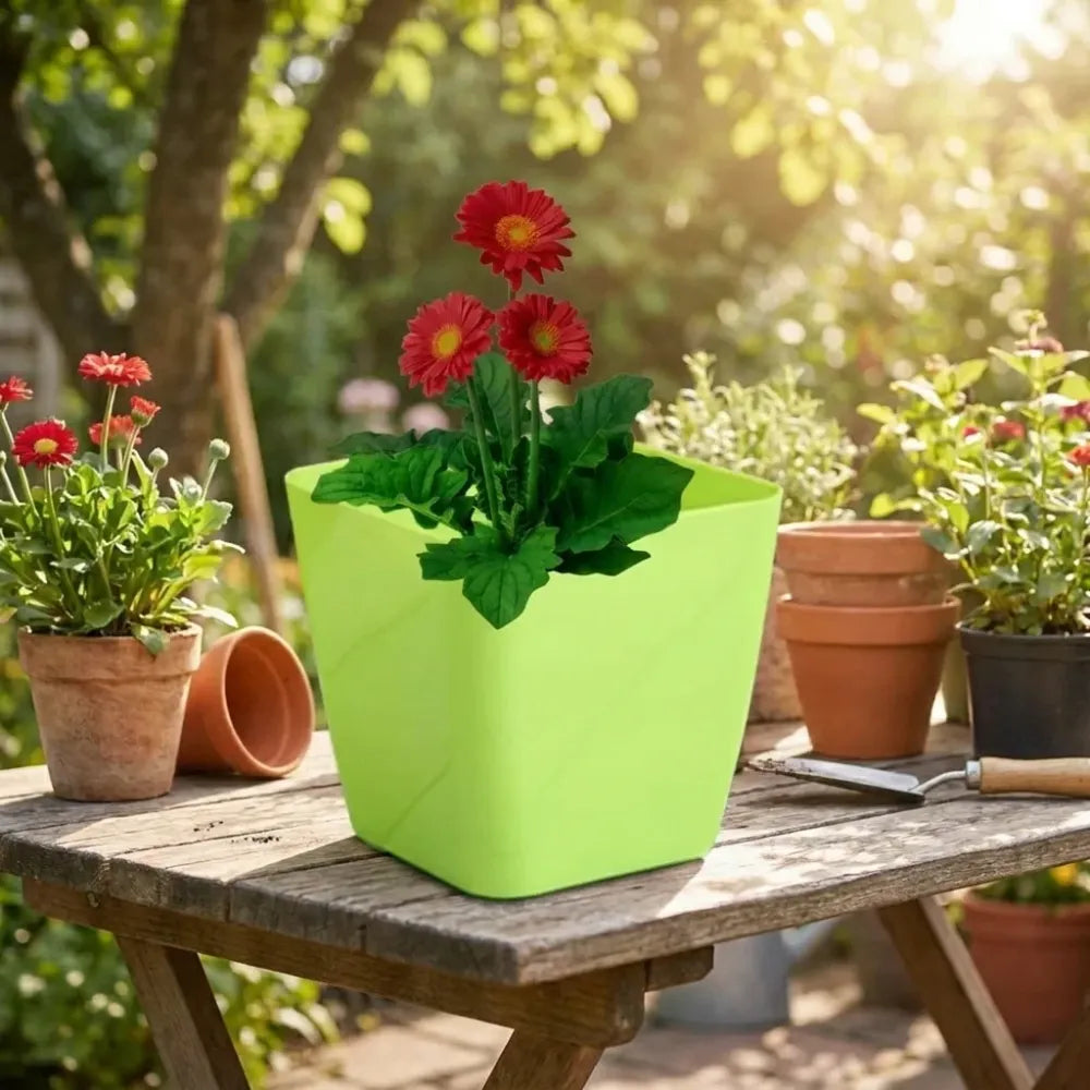 Colorful square & round flower pots - garden