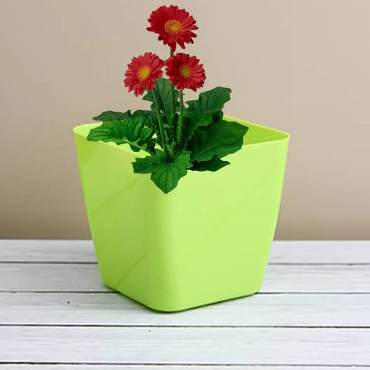 Colorful square & round flower pots - garden