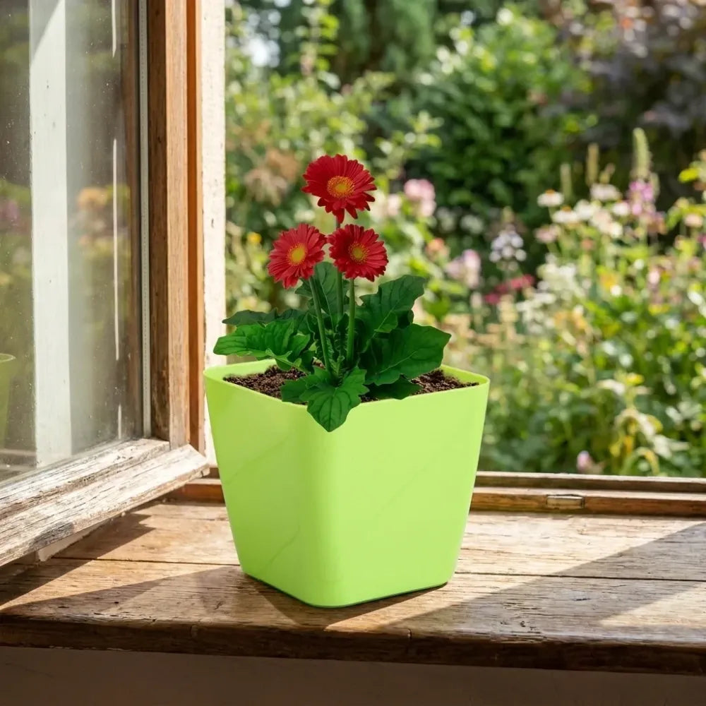 Colorful square & round flower pots - garden