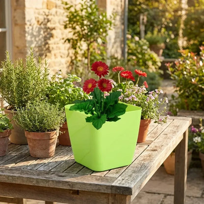 Colorful square & round flower pots - garden