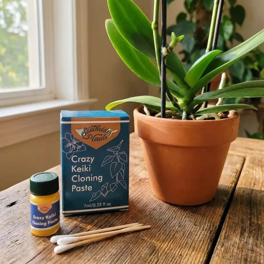 Crazy keiki plant cloning paste – 7ml