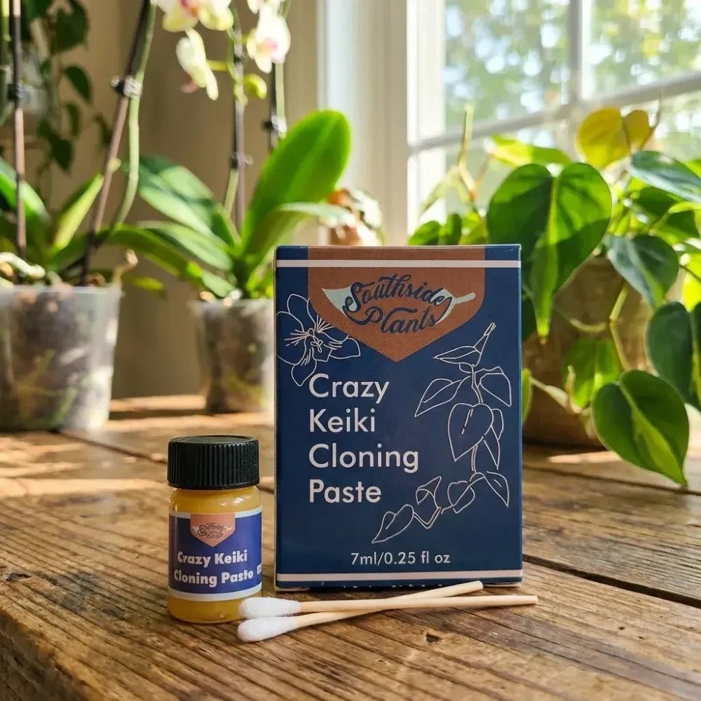 Crazy keiki plant cloning paste – 7ml