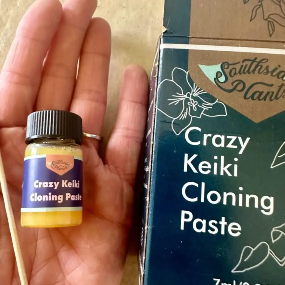 Crazy keiki plant cloning paste – 7ml