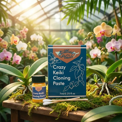 Crazy keiki plant cloning paste – 7ml