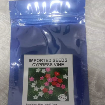 Cypress vine plant seeds