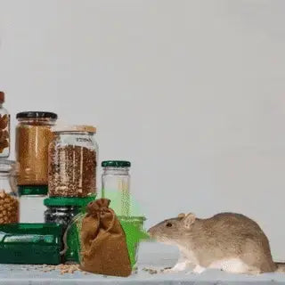 Ratguard™ - powerful rat repellent balls