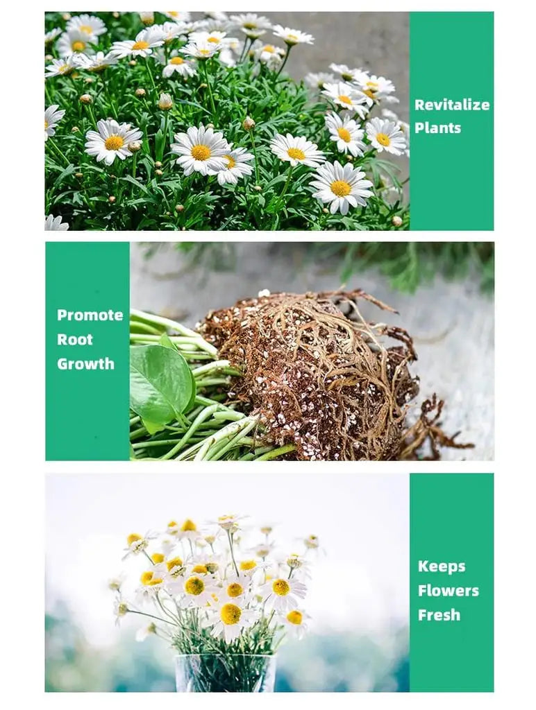 Plant growth enhancer supplement