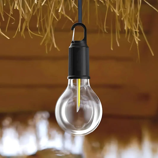 Decorative hanging bulb with 3 modes