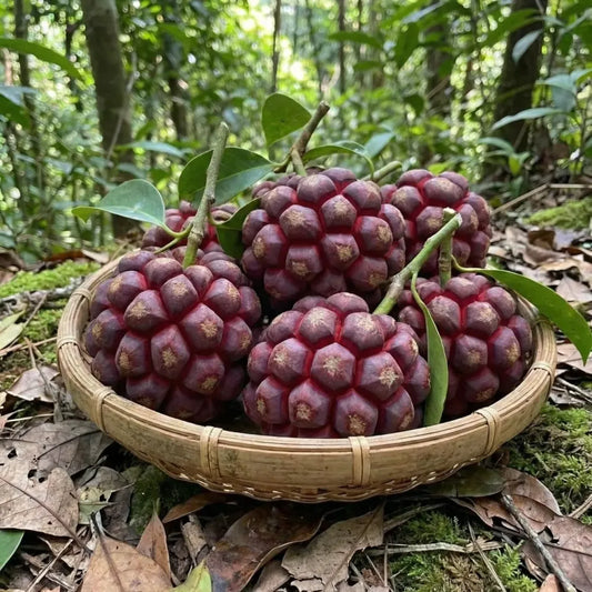 Devil fruit fantasy seeds