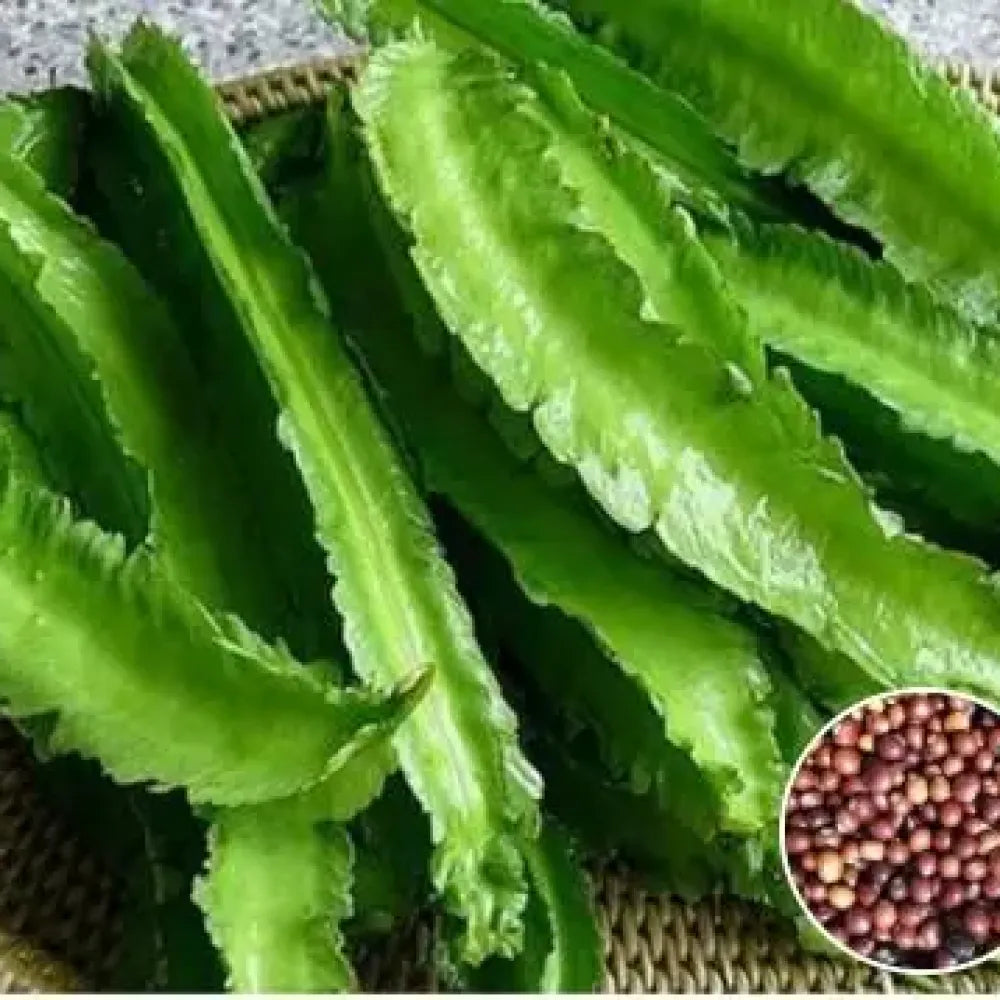 Dragon bean seeds - gardening
