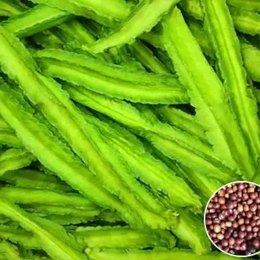 Dragon bean seeds - gardening