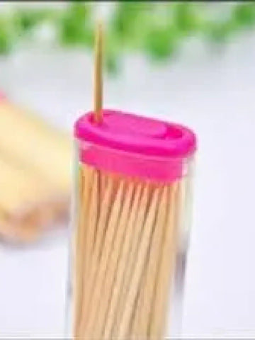 Eco-Friendly Bamboo Toothpicks with Dispenser
